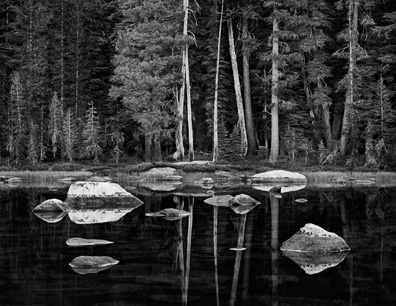 White Boulders and Forest