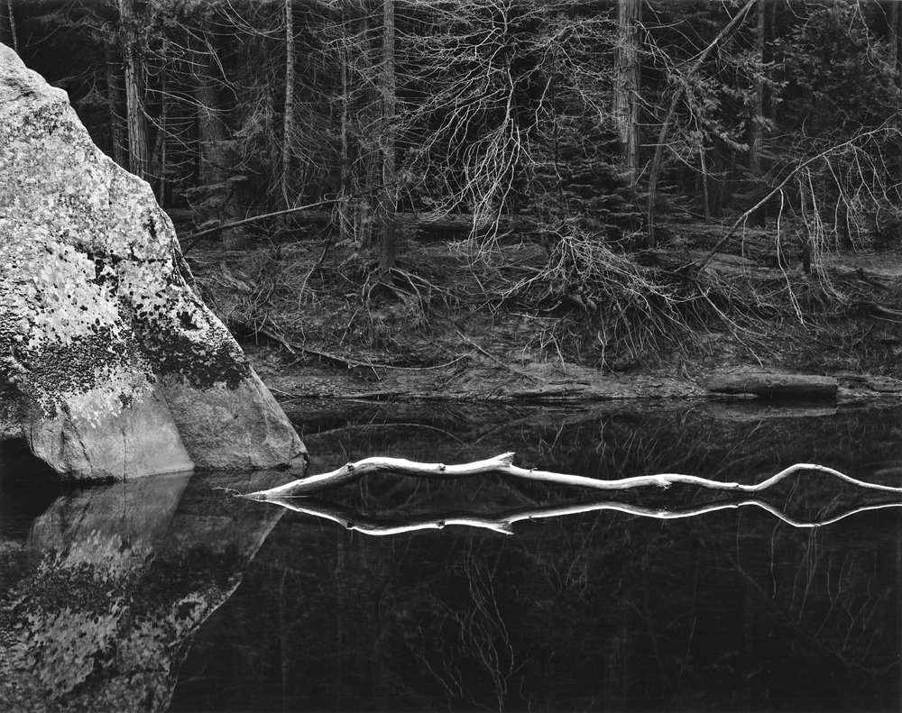 Merced River and Forest by John Sexton